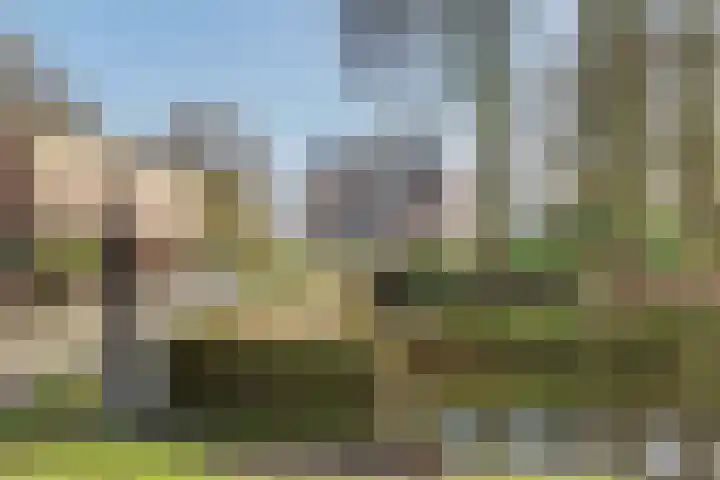 Kievitstraat 11 Velp thumbnail 54