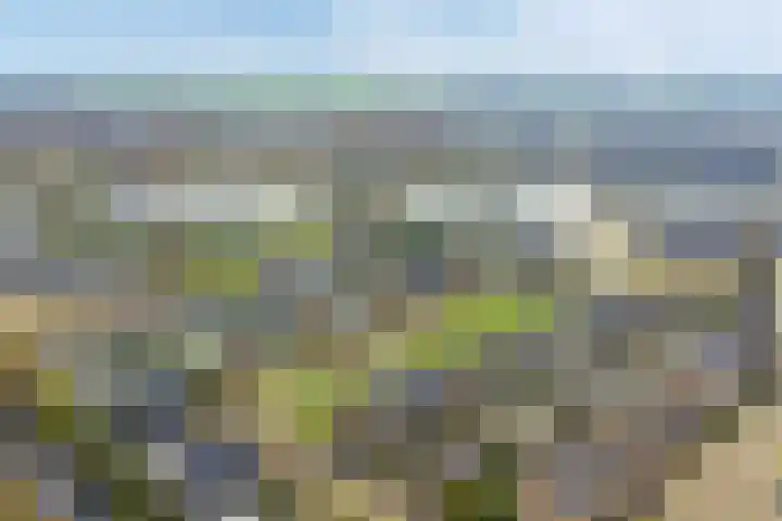 Kievitstraat 11 Velp thumbnail 58