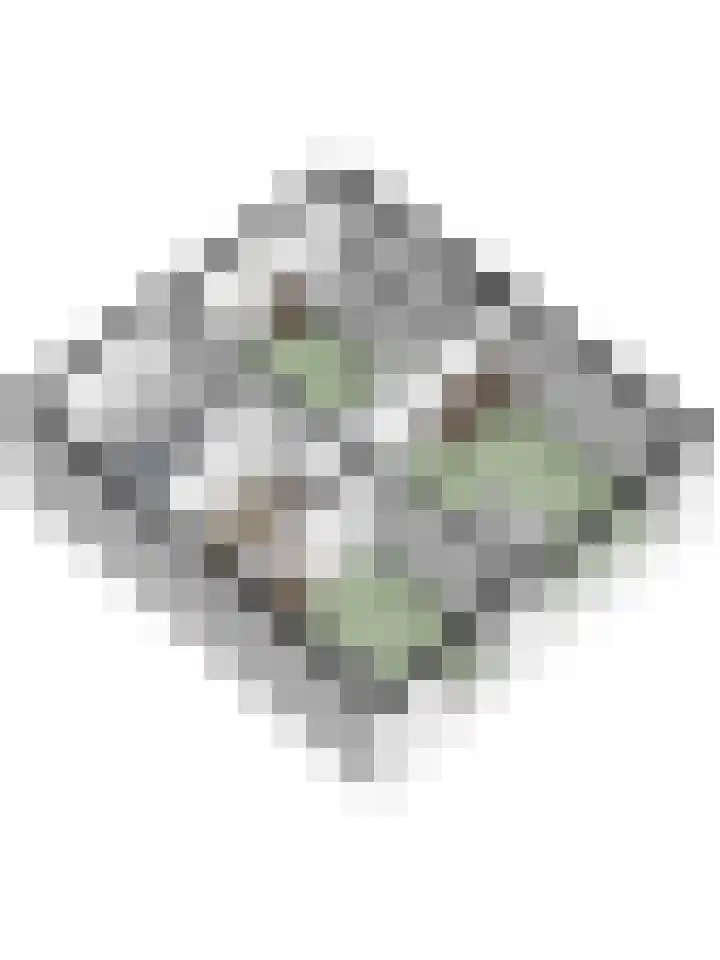 Kievitstraat 11 Velp thumbnail 66