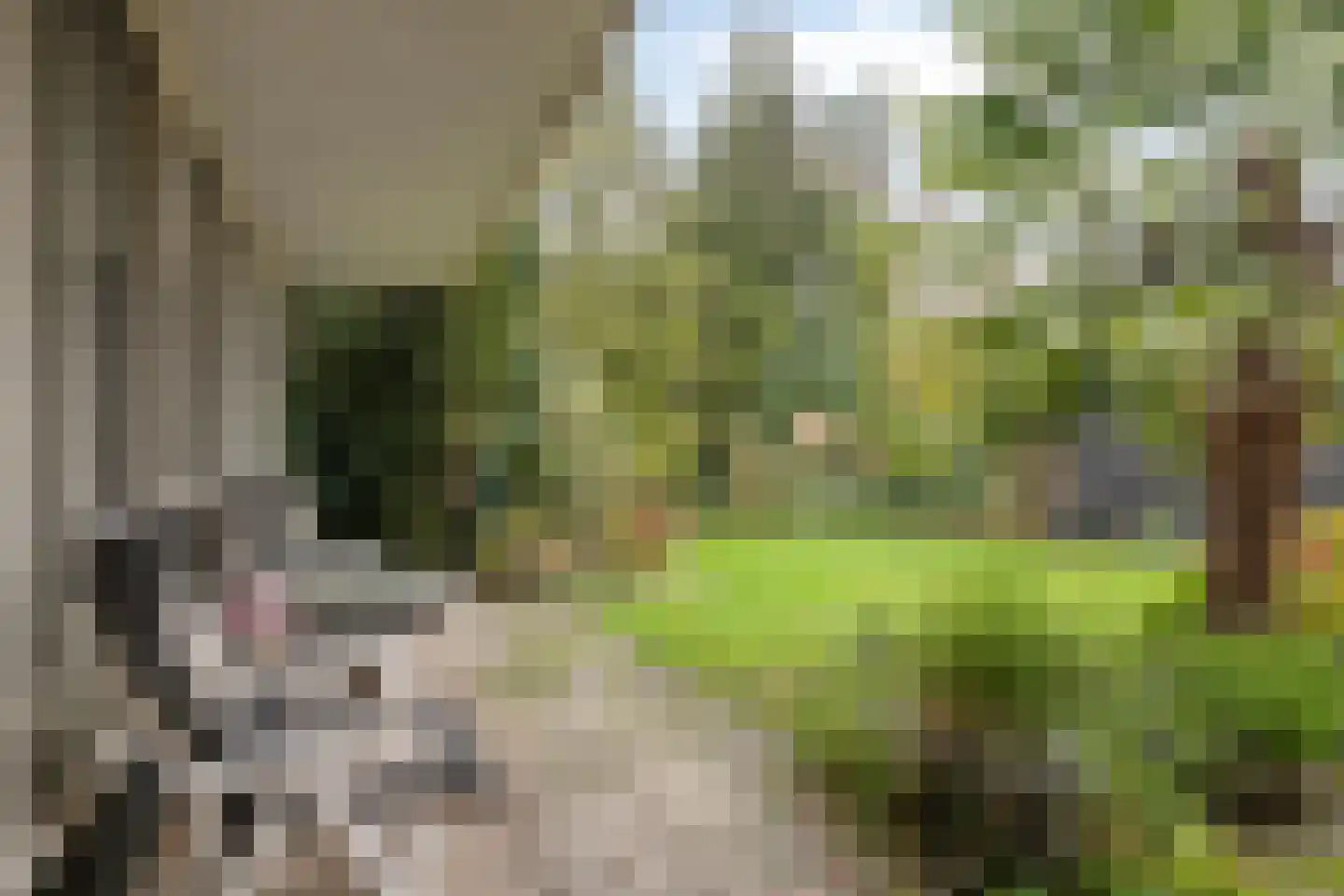 Kievitstraat 13 Delden thumbnail 6