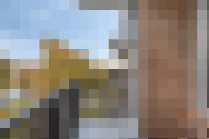 Kievitstraat 15 Wormerveer thumbnail 4