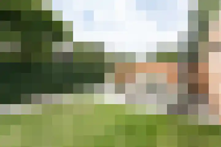 Kievitstraat 18 Heerlen thumbnail 23
