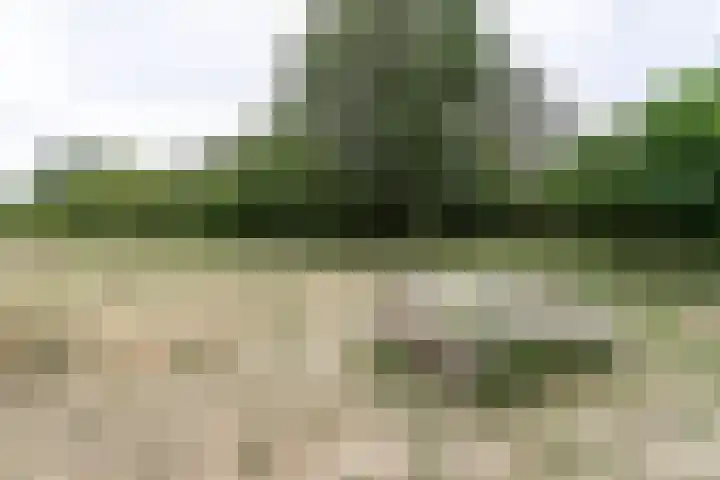 Kievitstraat 18 Heerlen thumbnail 24