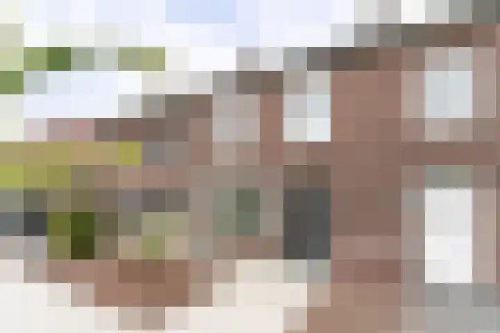Kievitstraat 18 Heerlen thumbnail 52