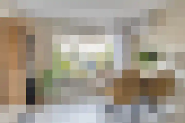 Kievitstraat 19 Geldrop thumbnail 12