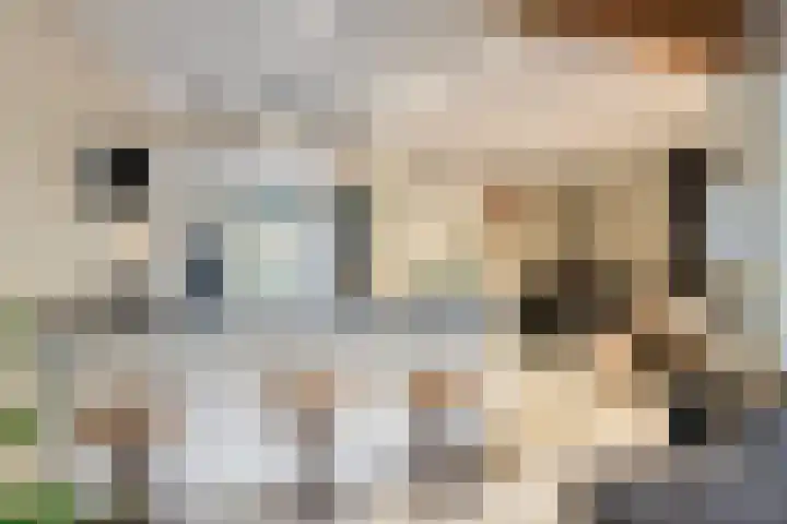 Kievitstraat 19 Geldrop thumbnail 13