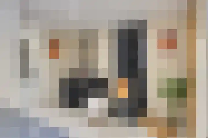 Kievitstraat 19 Geldrop thumbnail 14