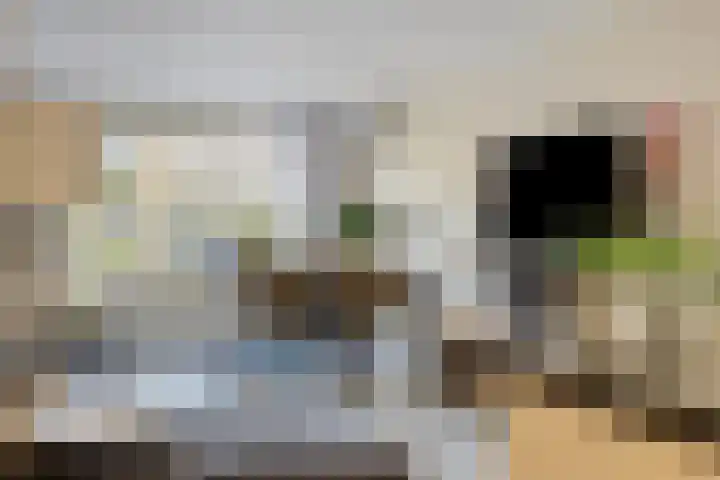 Kievitstraat 19 Geldrop thumbnail 17