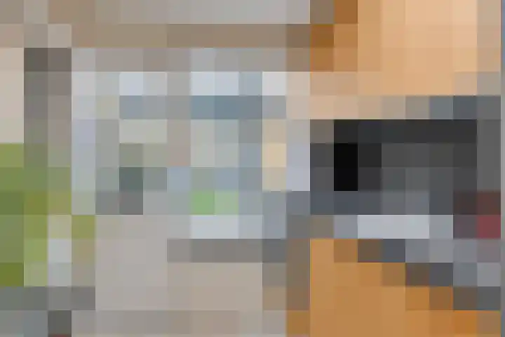 Kievitstraat 19 Geldrop thumbnail 21