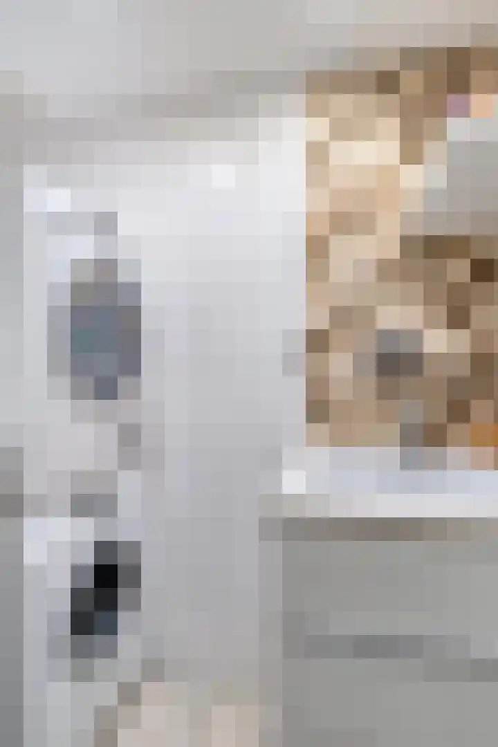 Kievitstraat 19 Geldrop thumbnail 24