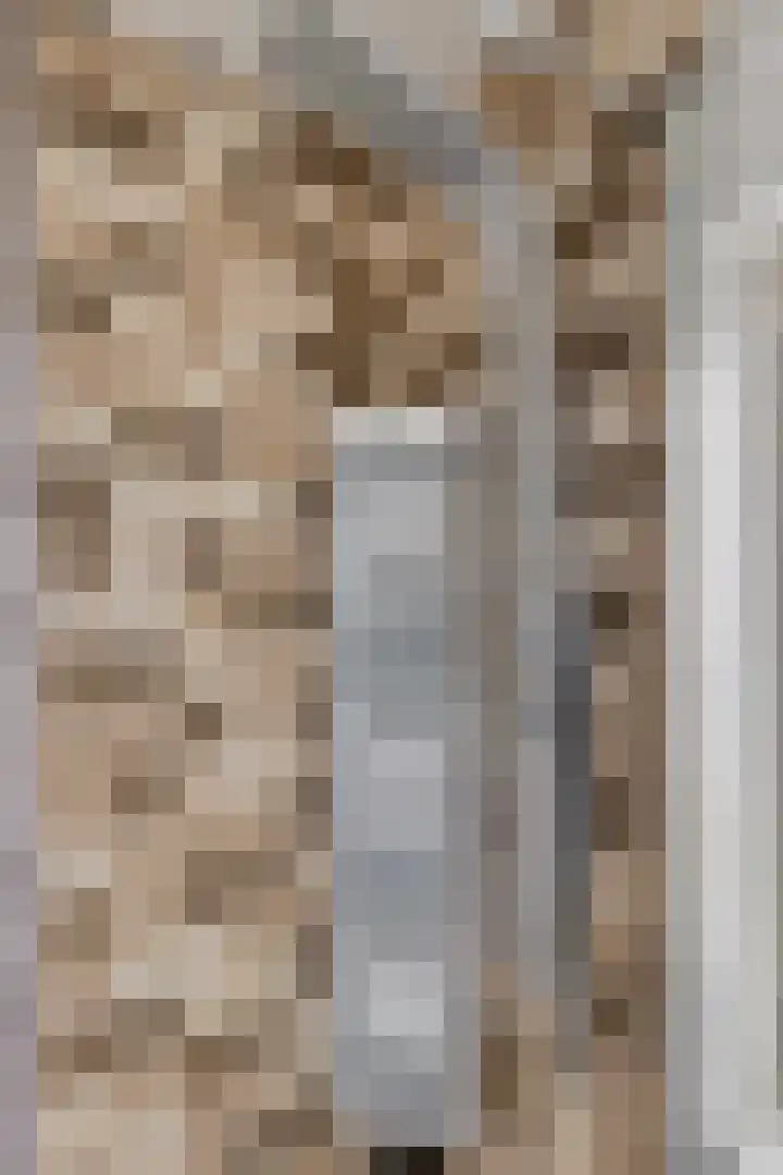 Kievitstraat 19 Geldrop thumbnail 30
