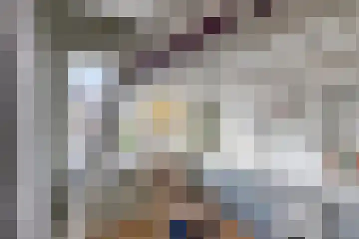Kievitstraat 19 Geldrop thumbnail 31
