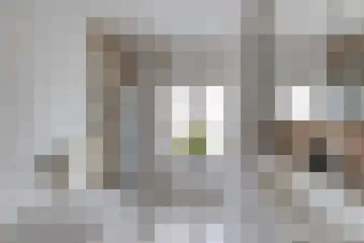 Kievitstraat 19 Geldrop thumbnail 4