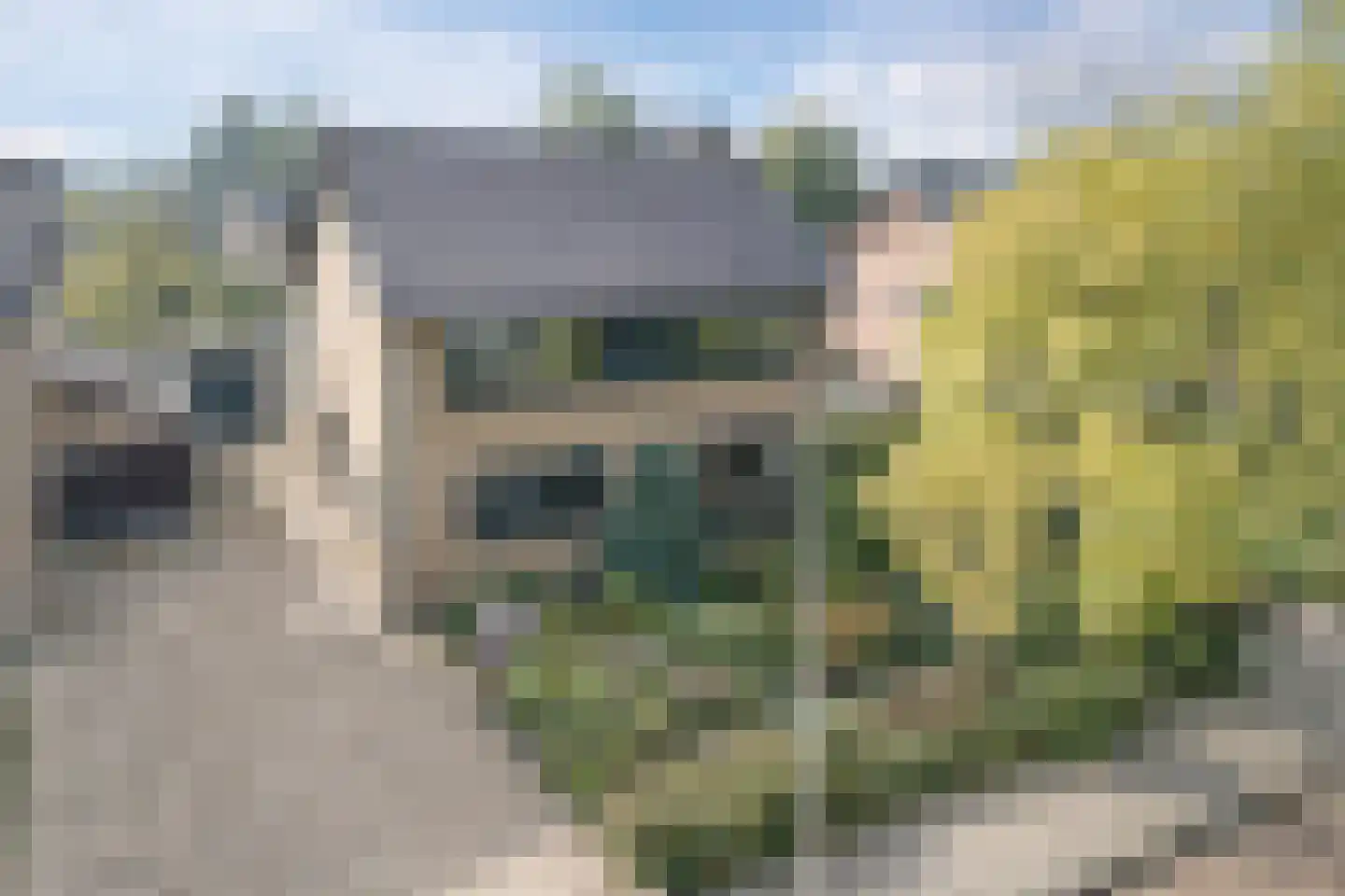 Kievitstraat 22 Delden thumbnail 7