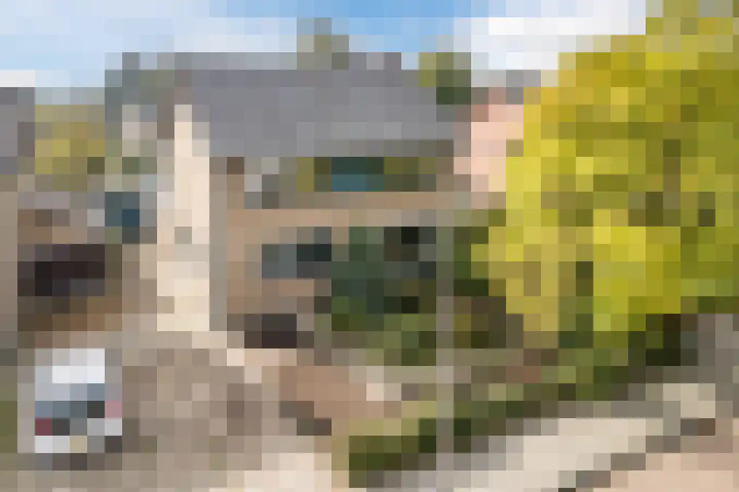 Kievitstraat 22 Delden thumbnail 9