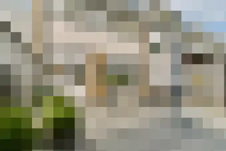 Kievitstraat 32 Lisse thumbnail 15