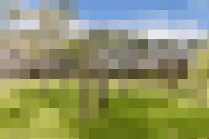 Kievitstraat 32 Lisse thumbnail 34