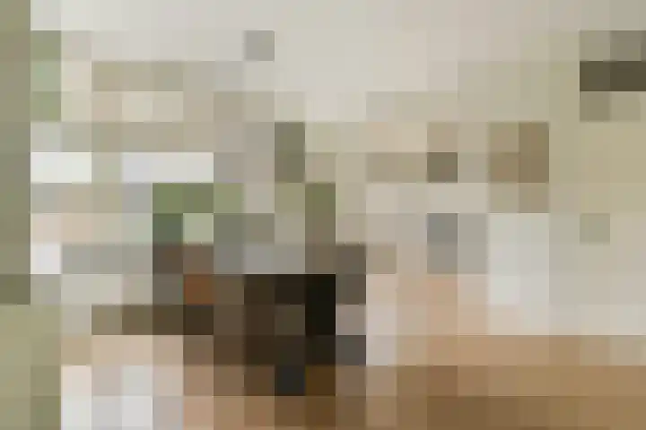 Kievitstraat 32 Lisse thumbnail 9