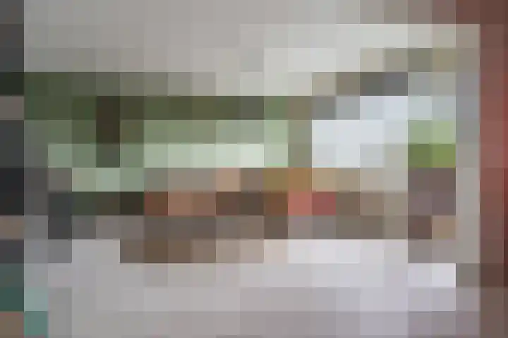 Kievitstraat 36 Leiderdorp thumbnail 15