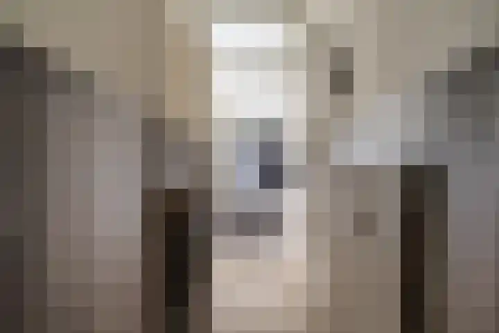 Kievitstraat 36 Leiderdorp thumbnail 35