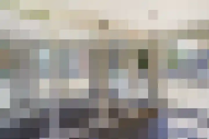 Kievitstraat 36 Leiderdorp thumbnail 36