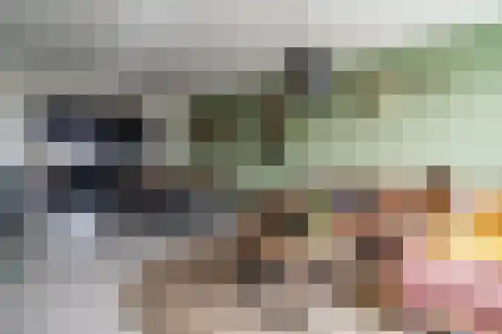 Kievitstraat 36 Leiderdorp thumbnail 4