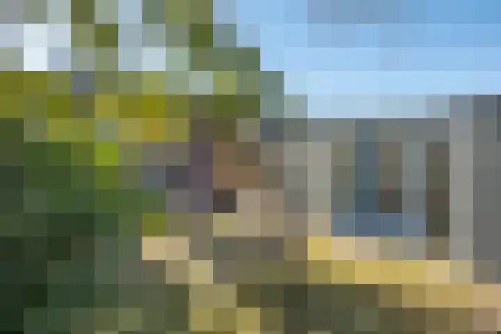 Kievitstraat 37 Delden thumbnail 33