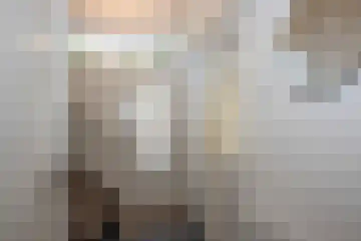 Kievitstraat 37 Delden thumbnail 5