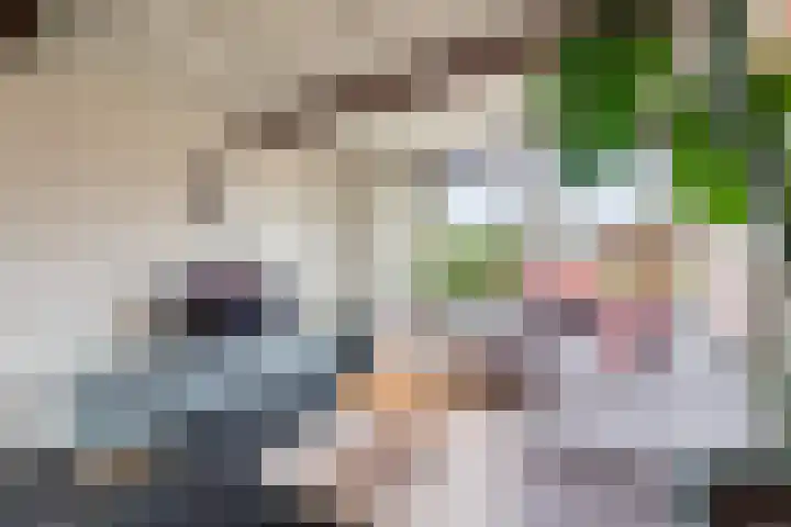 Kievitstraat 46 Lisse thumbnail 10