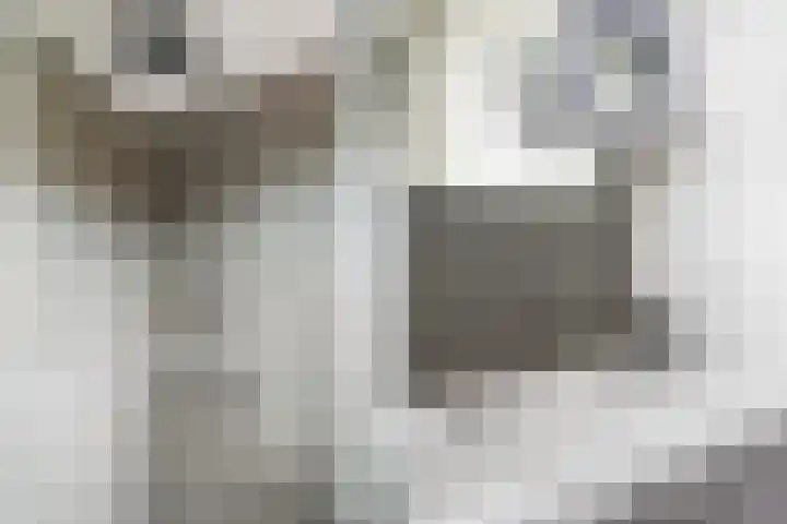 Kievitstraat 46 Lisse thumbnail 31