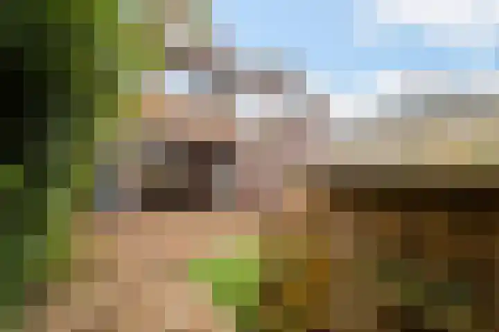 Kievitstraat 46 Lisse thumbnail 35