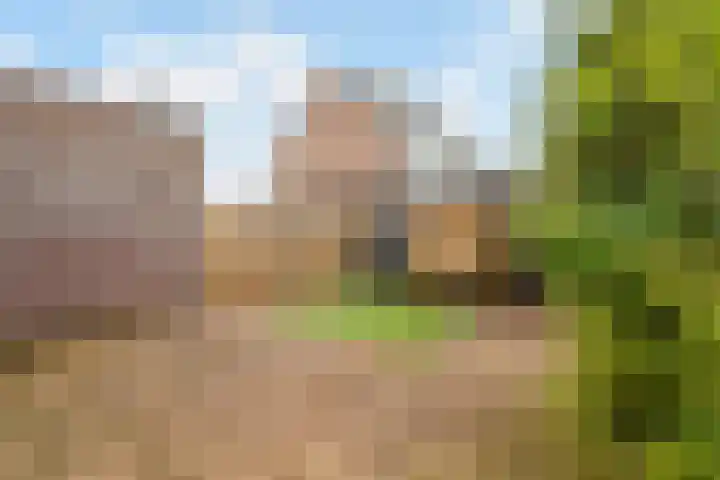 Kievitstraat 46 Lisse thumbnail 37
