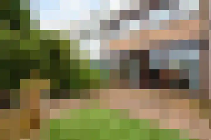 Kievitstraat 46 Lisse thumbnail 39