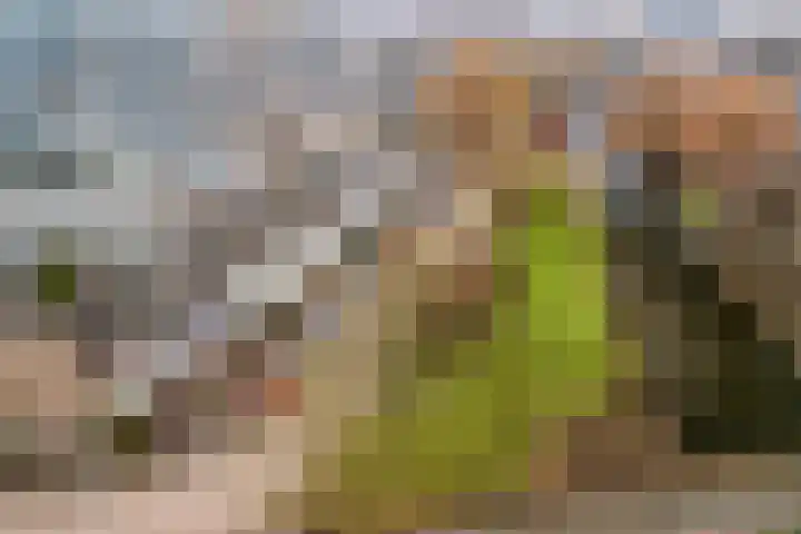 Kievitstraat 46 Lisse thumbnail 4