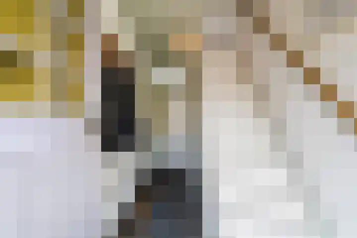 Kievitstraat 46 Lisse thumbnail 7
