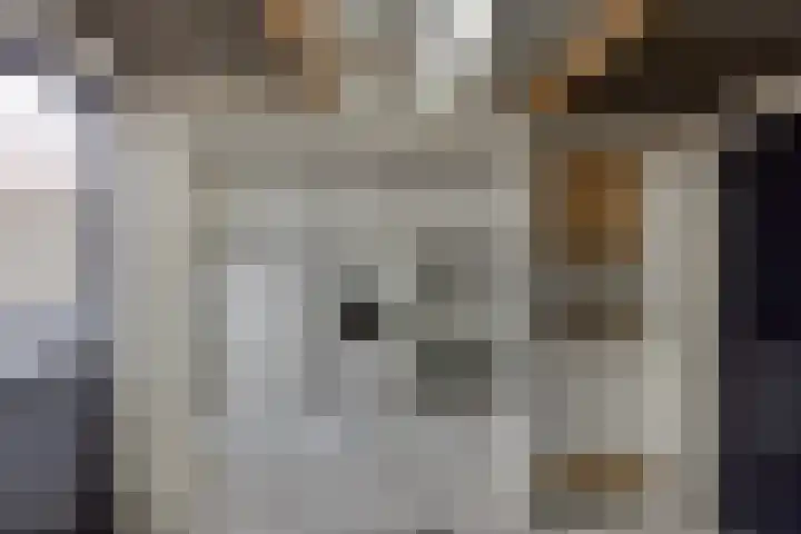 Kievitstraat 5 Wijchen thumbnail 18
