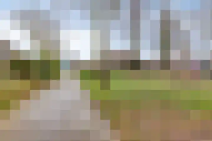 Kievitstraat 5 Wijchen thumbnail 21