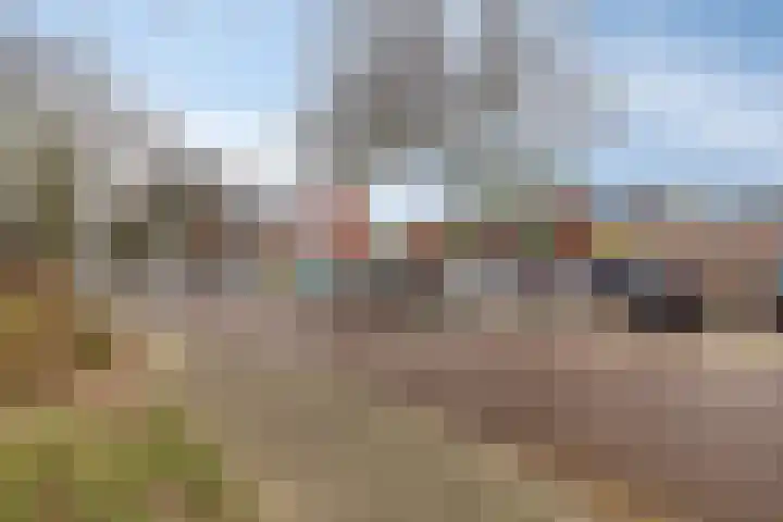 Kievitstraat 5 Wijchen thumbnail 23