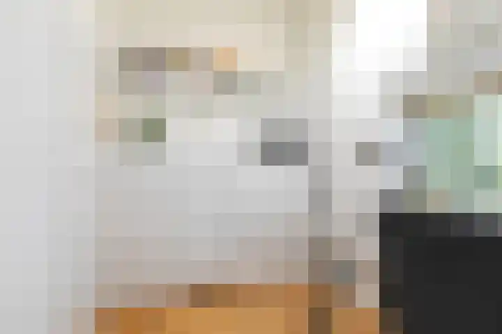 Kievitstraat 58 Breda thumbnail 31