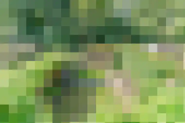 Kievitstraat 6 Boskoop thumbnail 10