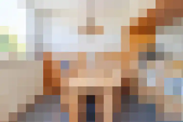 Kievitstraat 6 Boskoop thumbnail 13