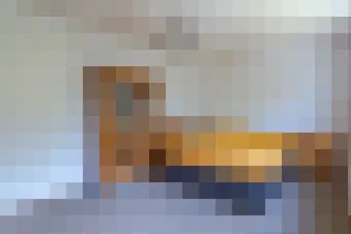 Kievitstraat 6 Boskoop thumbnail 17