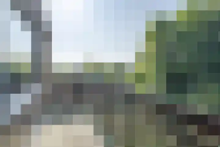 Kievitstraat 6 Boskoop thumbnail 19