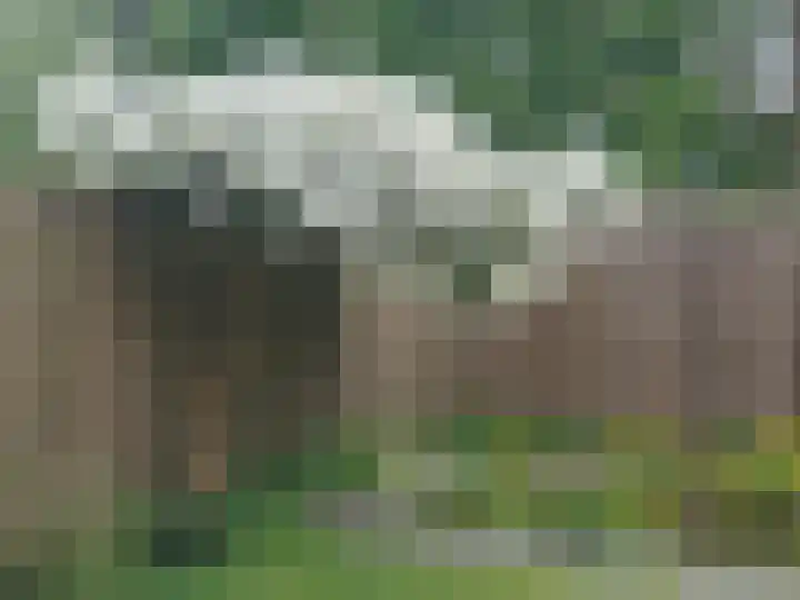 Kievitstraat 6 Boskoop thumbnail 30