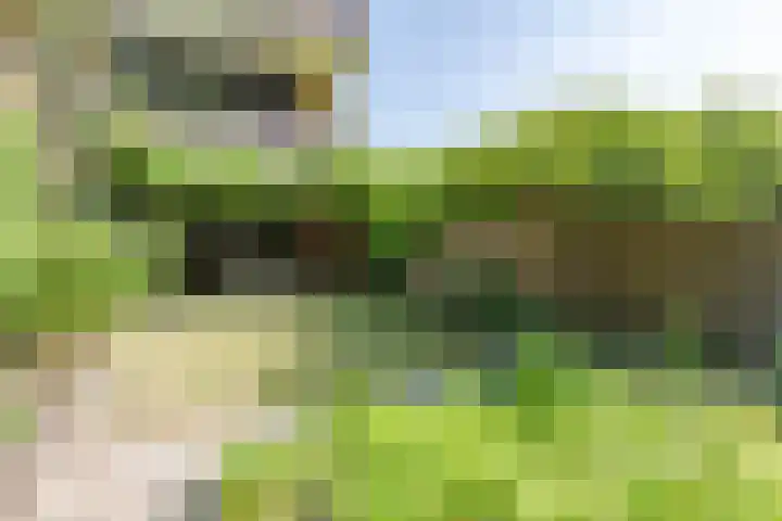 Kievitstraat 6 Boskoop thumbnail 31