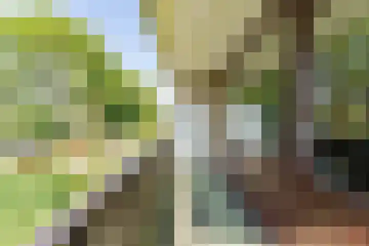 Kievitstraat 6 Boskoop thumbnail 9