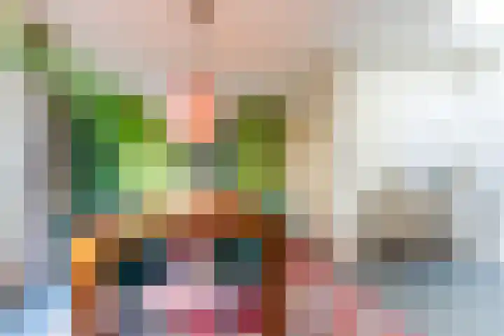 Kievitstraat 79 Geldrop thumbnail 11