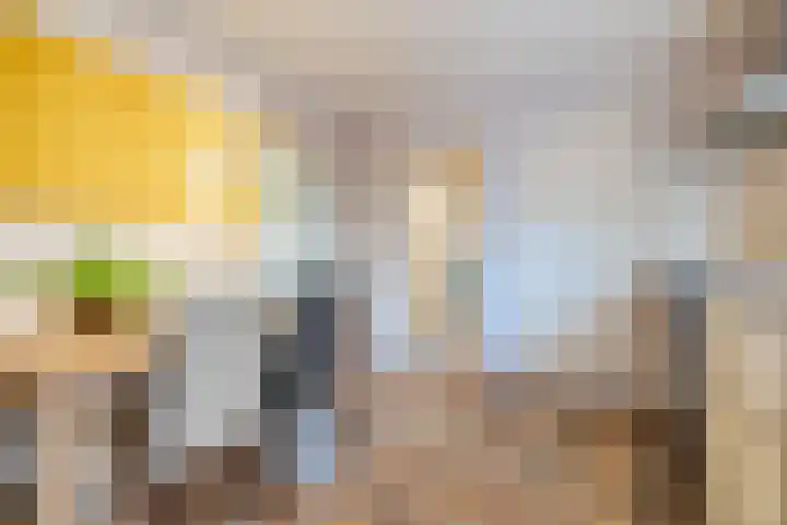 Kievitstraat 79 Geldrop thumbnail 18