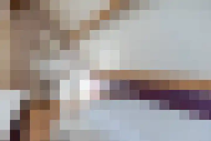 Kievitstraat 79 Geldrop thumbnail 35