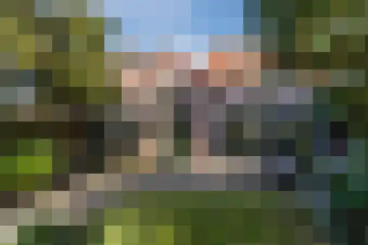 Kievitstraat 79 Geldrop thumbnail 37